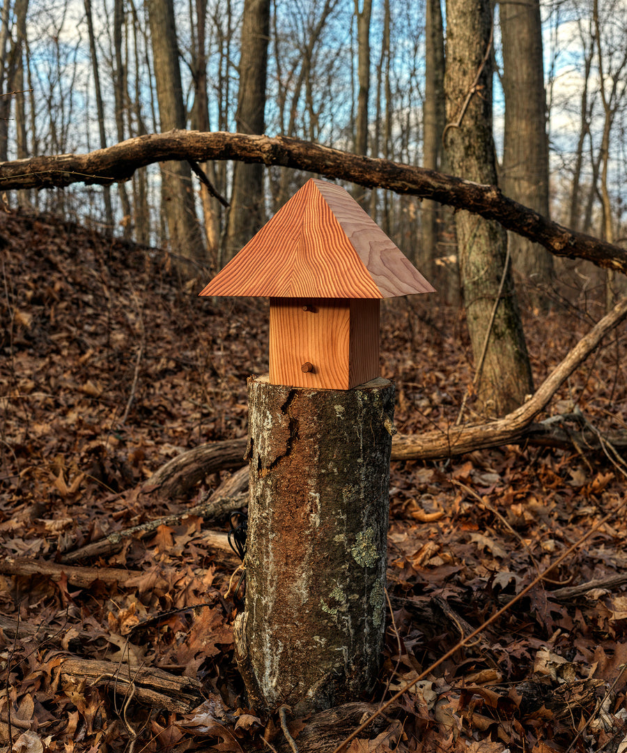 Ravine Table Lamp