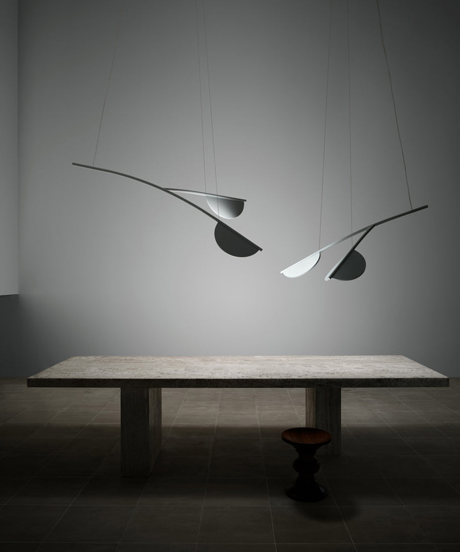 Almendra Organic Suspension Lamp, 2 Heads