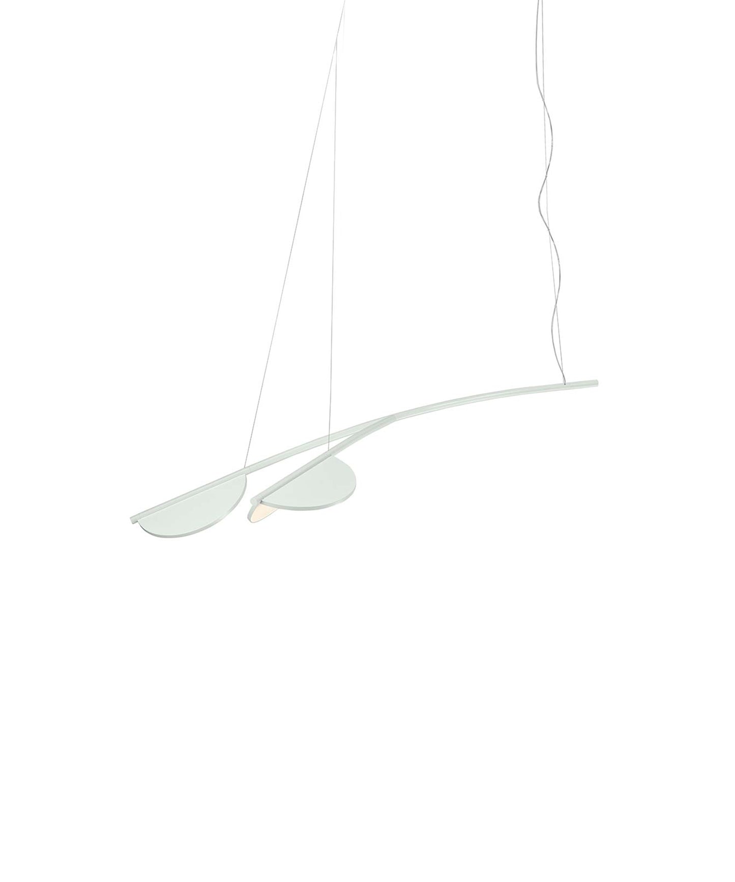 Almendra Organic Suspension Lamp, 2 Heads