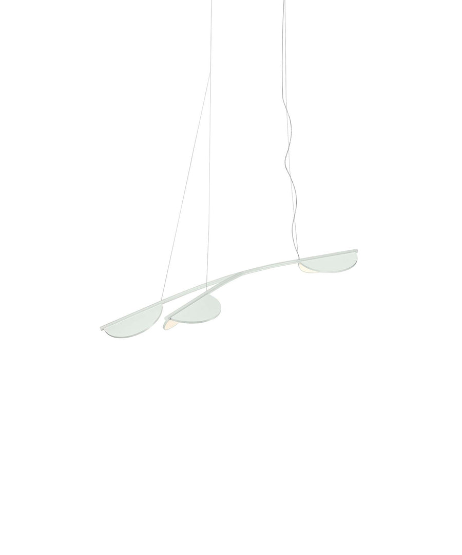 Almendra Organic Suspension Lamp, 3 Heads