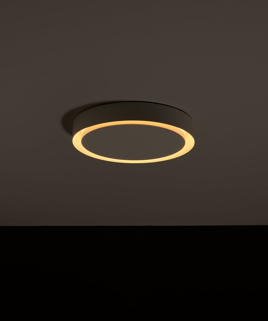 Amigo Lamp