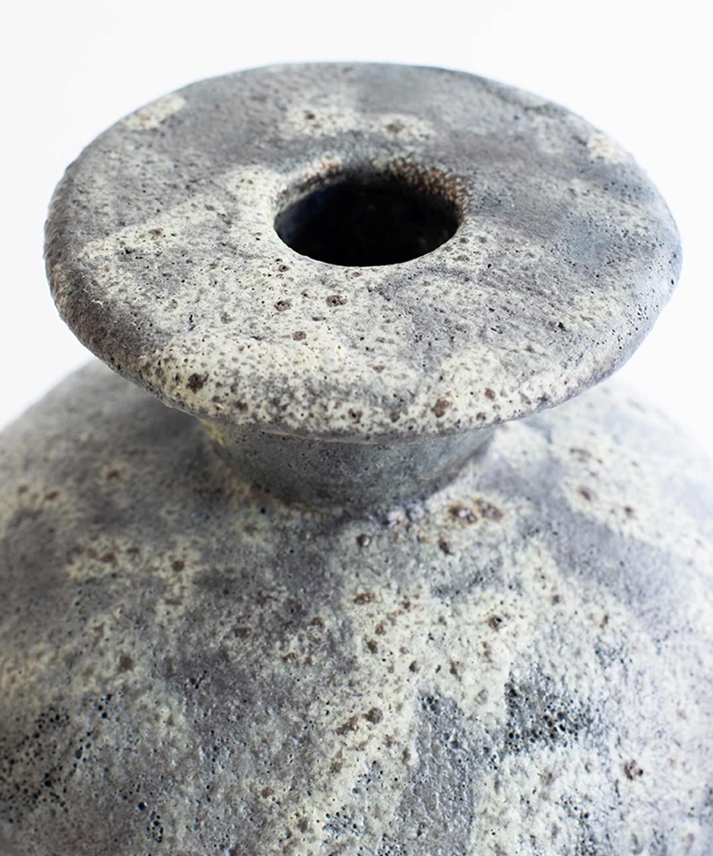 calpide-gecko-vase-02