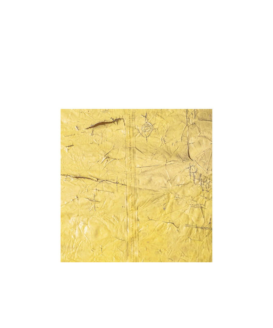David Hammons