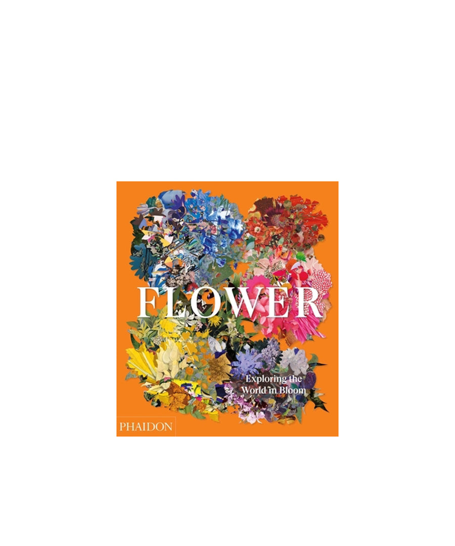 Flower: Exploring the World in Bloom