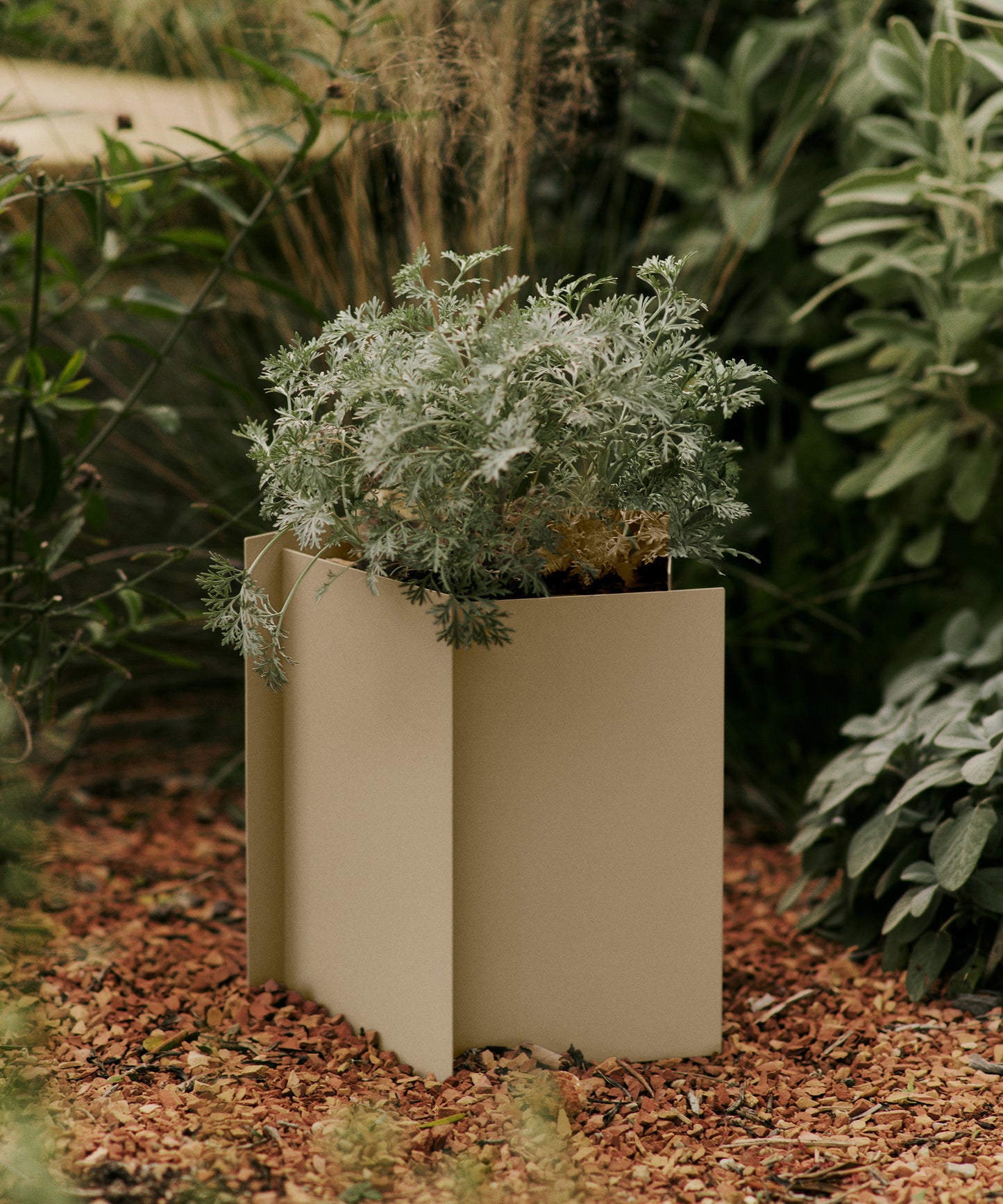 Fragma Planter