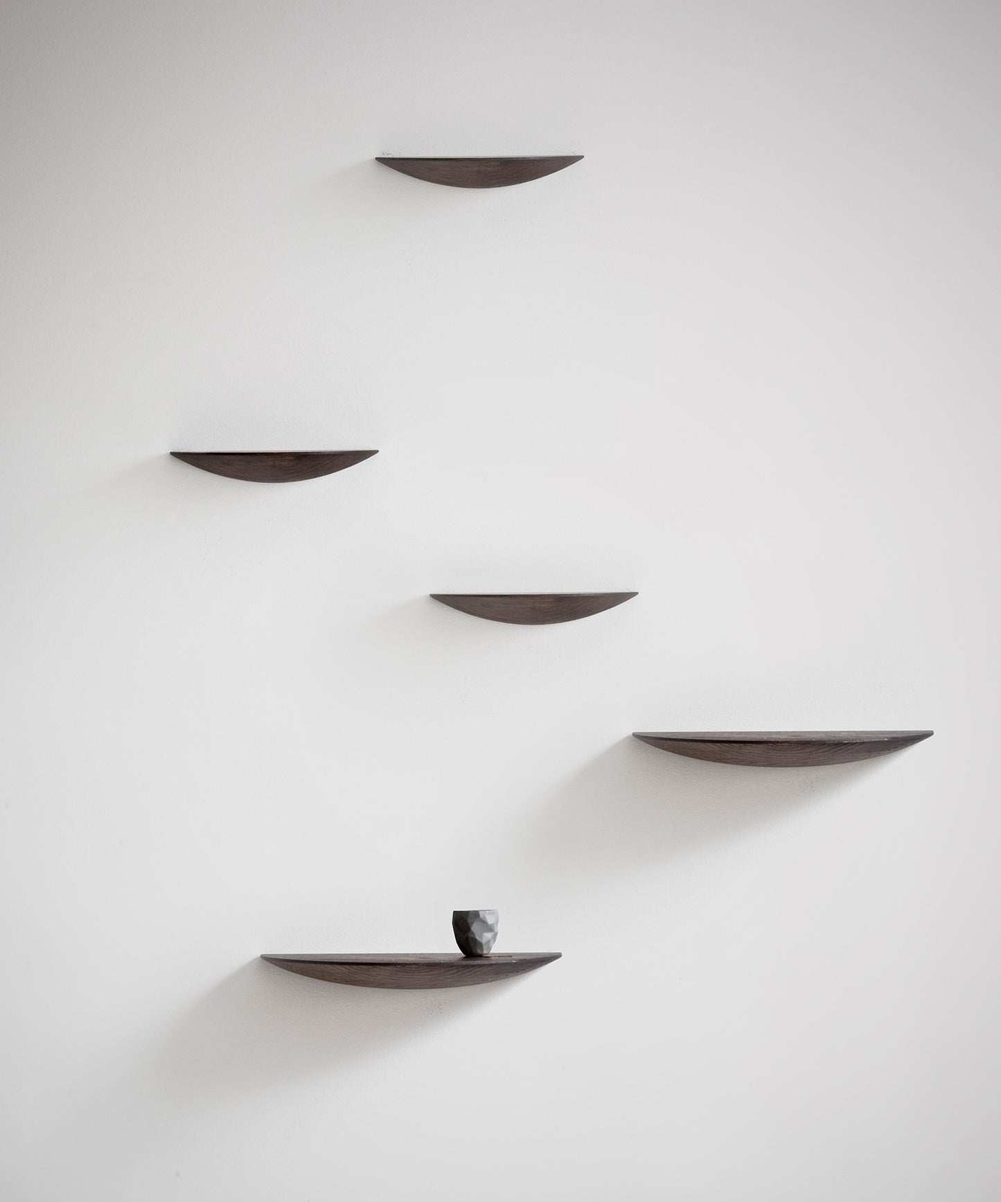 Gridy Fungi Shelf
