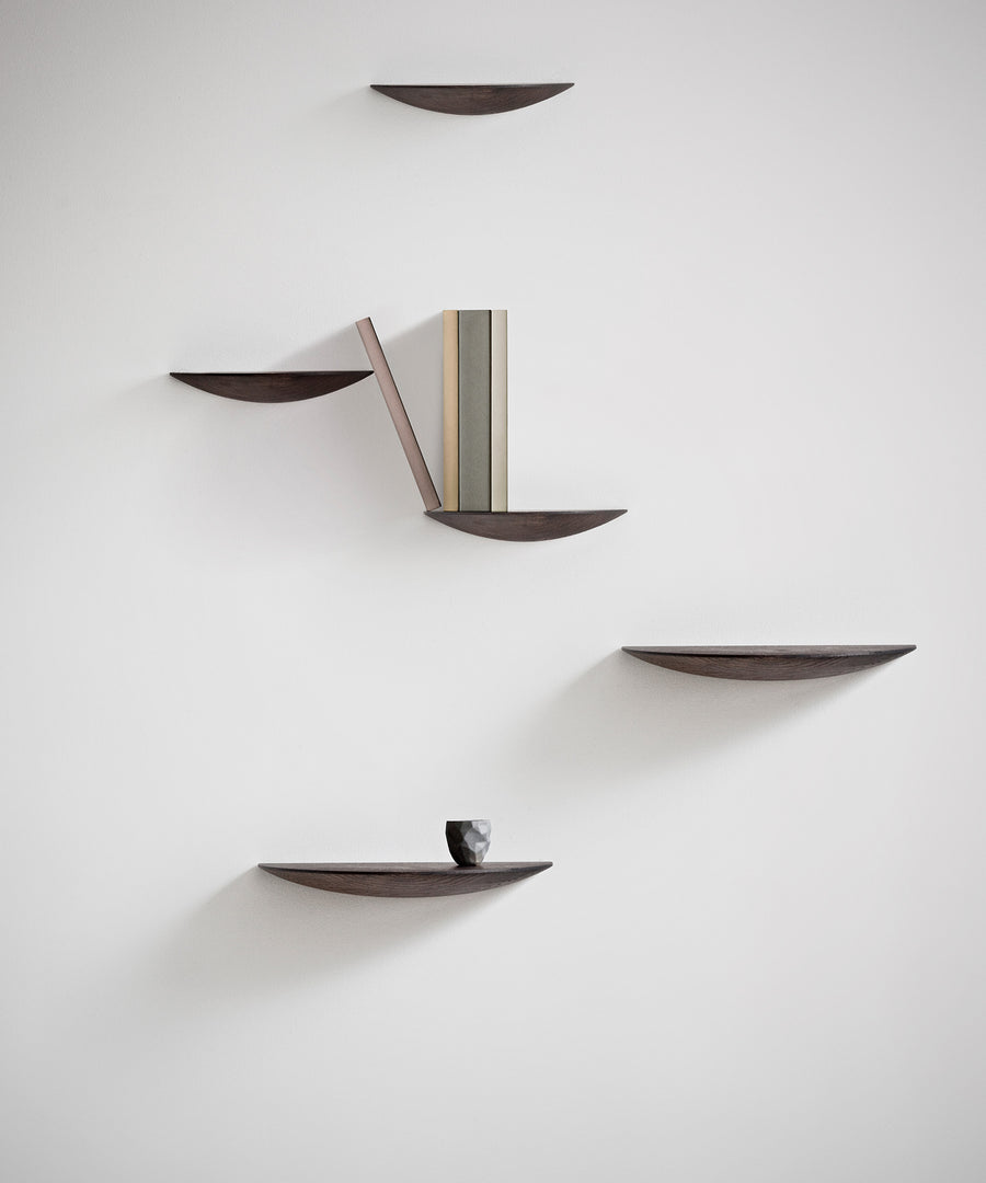 Gridy Fungi Shelf