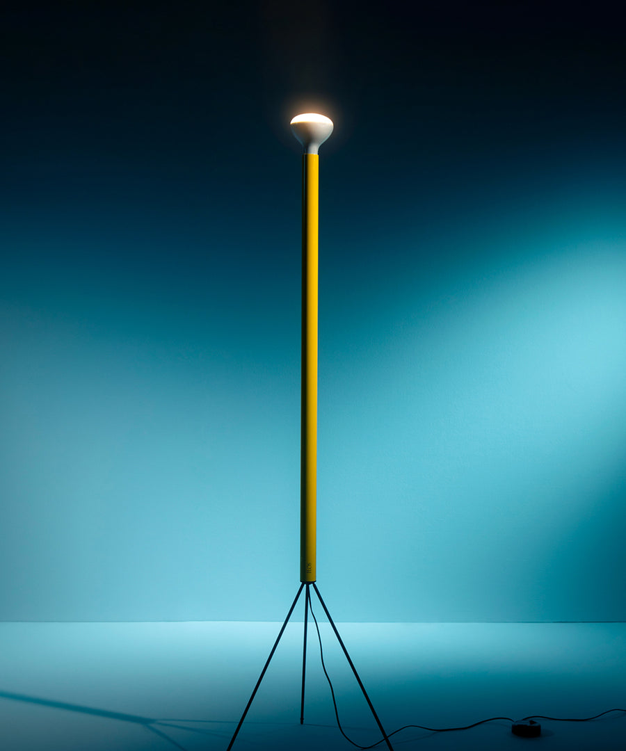 Luminator Floor Lamp