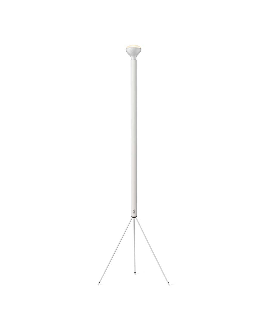 Luminator Floor Lamp