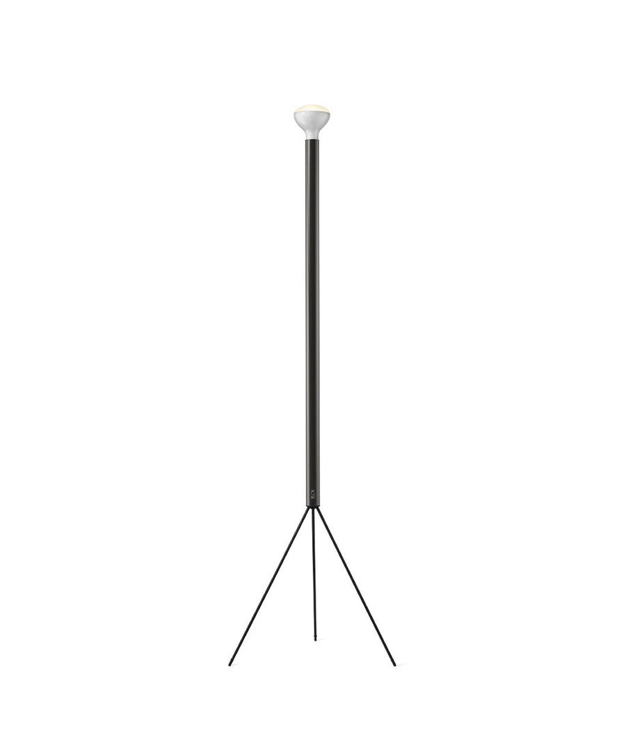 Luminator Floor Lamp