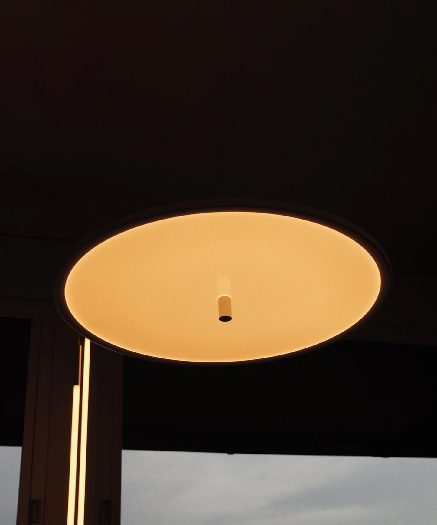 My Disc