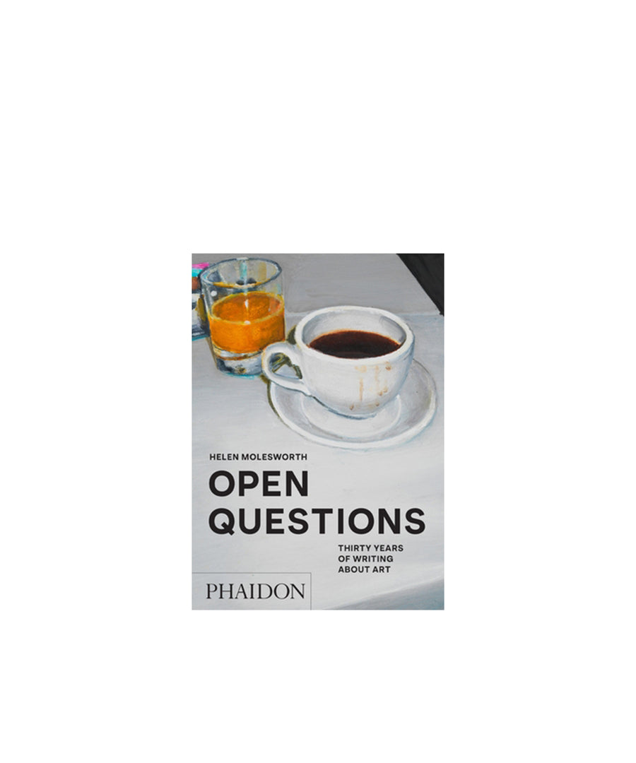 Open Questions: Thirty Years of Writing about Art