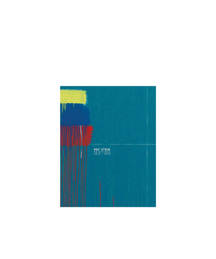 Pat Steir: Paintings
