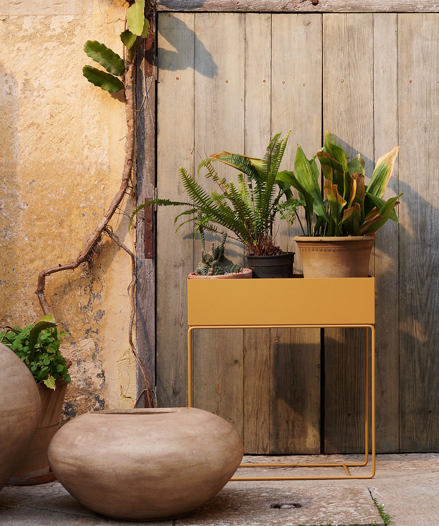 Plant Box