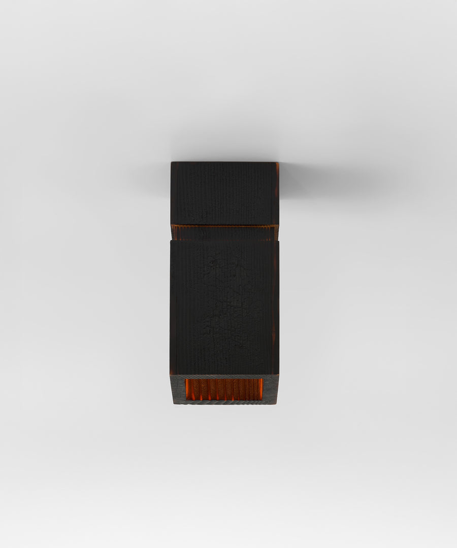 Ravine Ceiling Mount