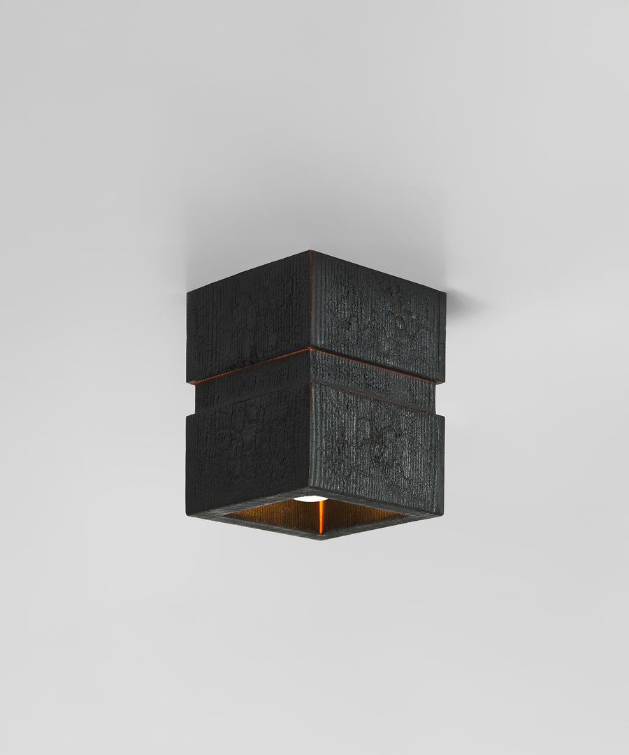 Ravine Ceiling Mount