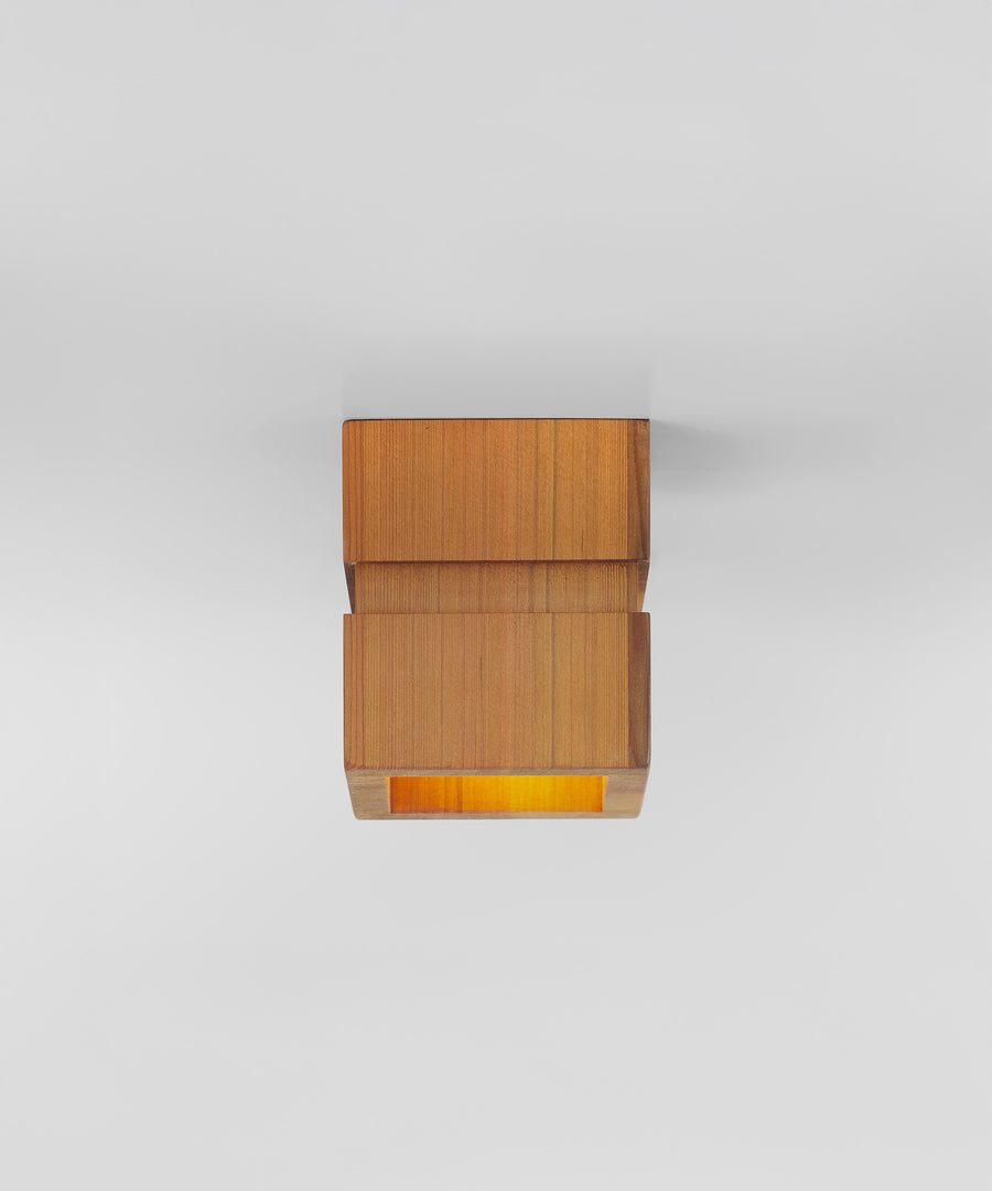 Ravine Ceiling Mount
