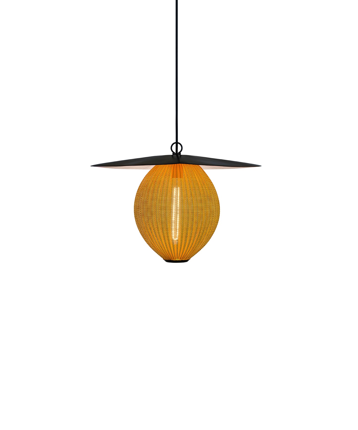 Satellite Outdoor Pendant