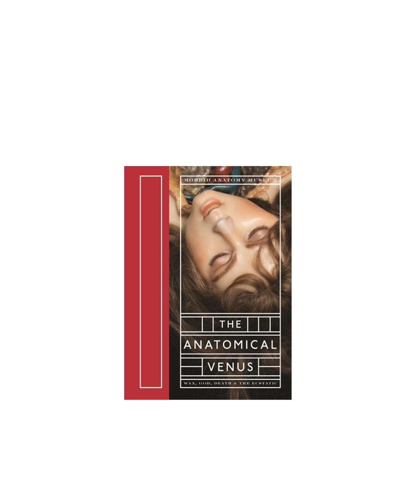 The Anatomical Venus: Wax, God, Death & the Ecstatic
