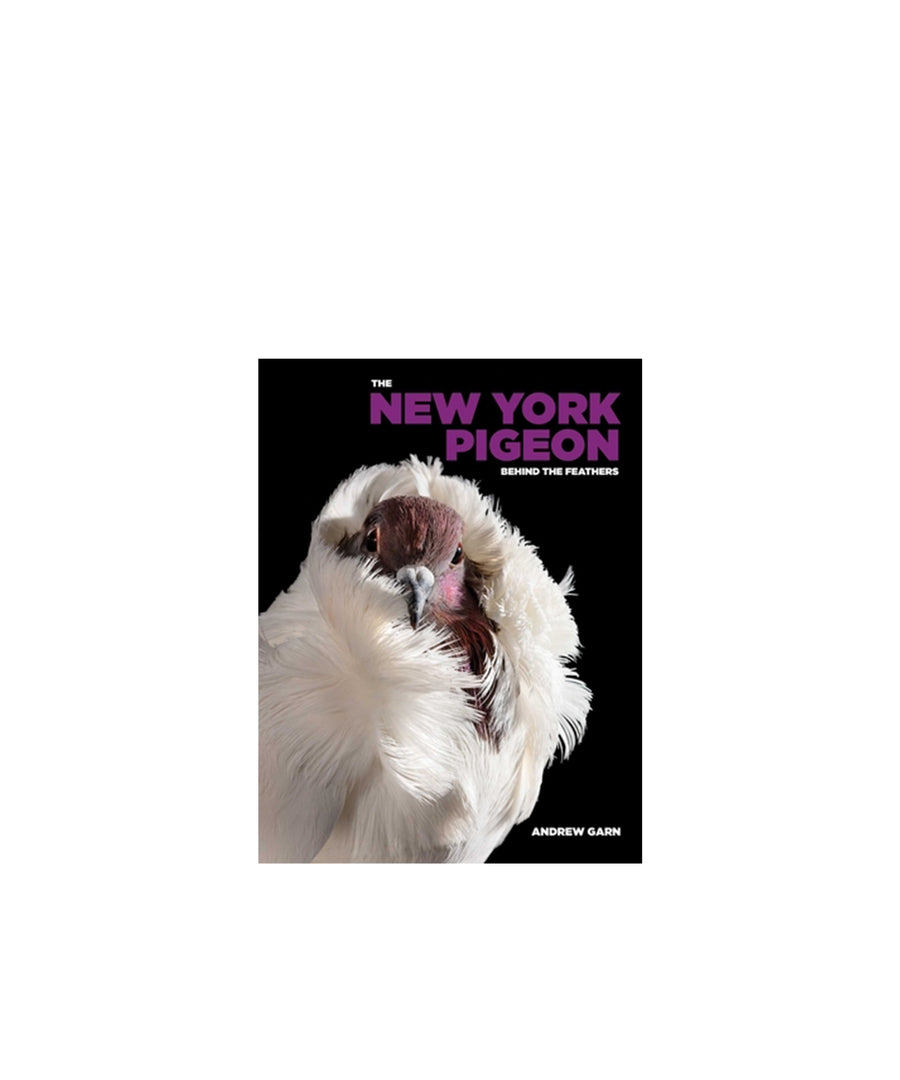 The New York Pigeon