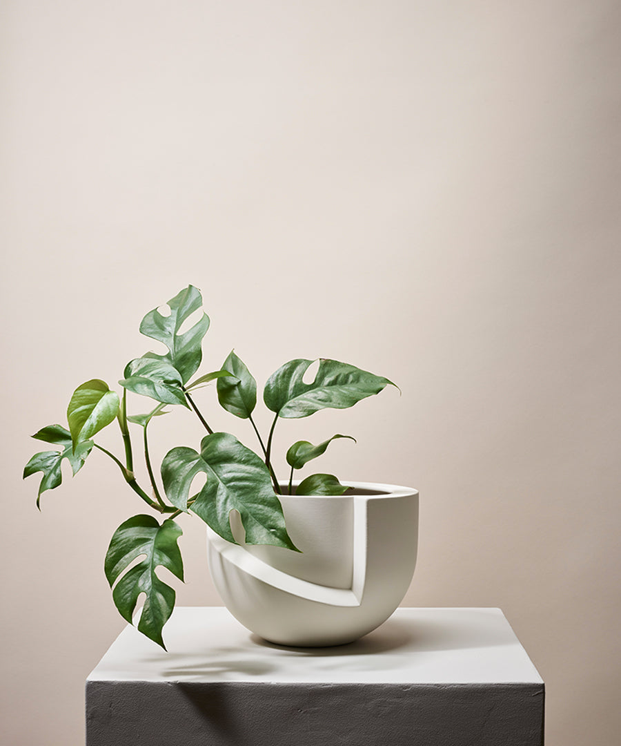 Vayu Tabletop Planter