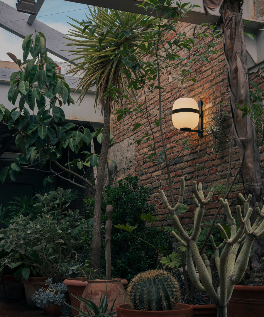 Wally Cestita Wall Lamp