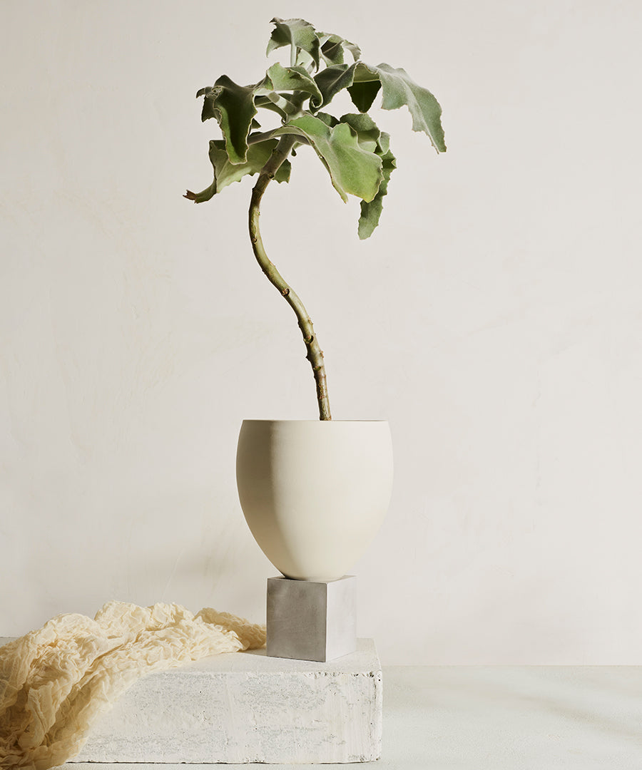 Eleva Porcelain Planter