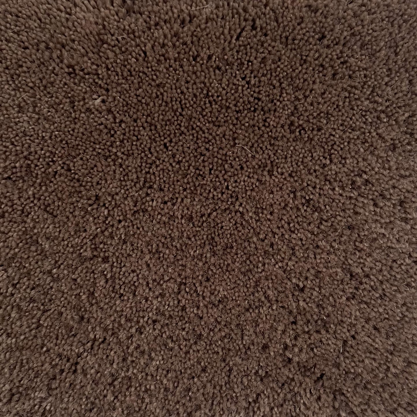 100% New Zealand Wool Rug Swatch in Latte Mocha