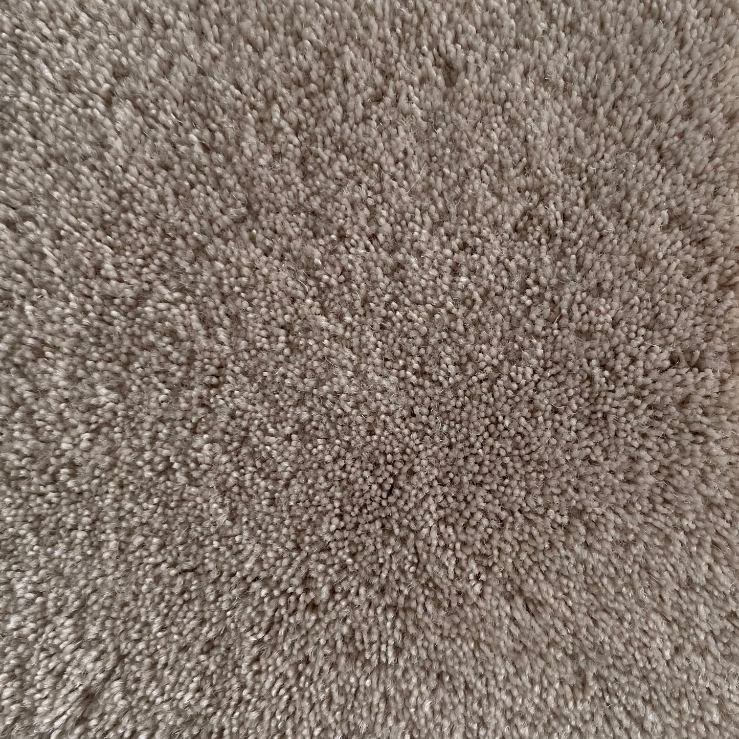 100% New Zealand Wool Rug Swatch in Cream