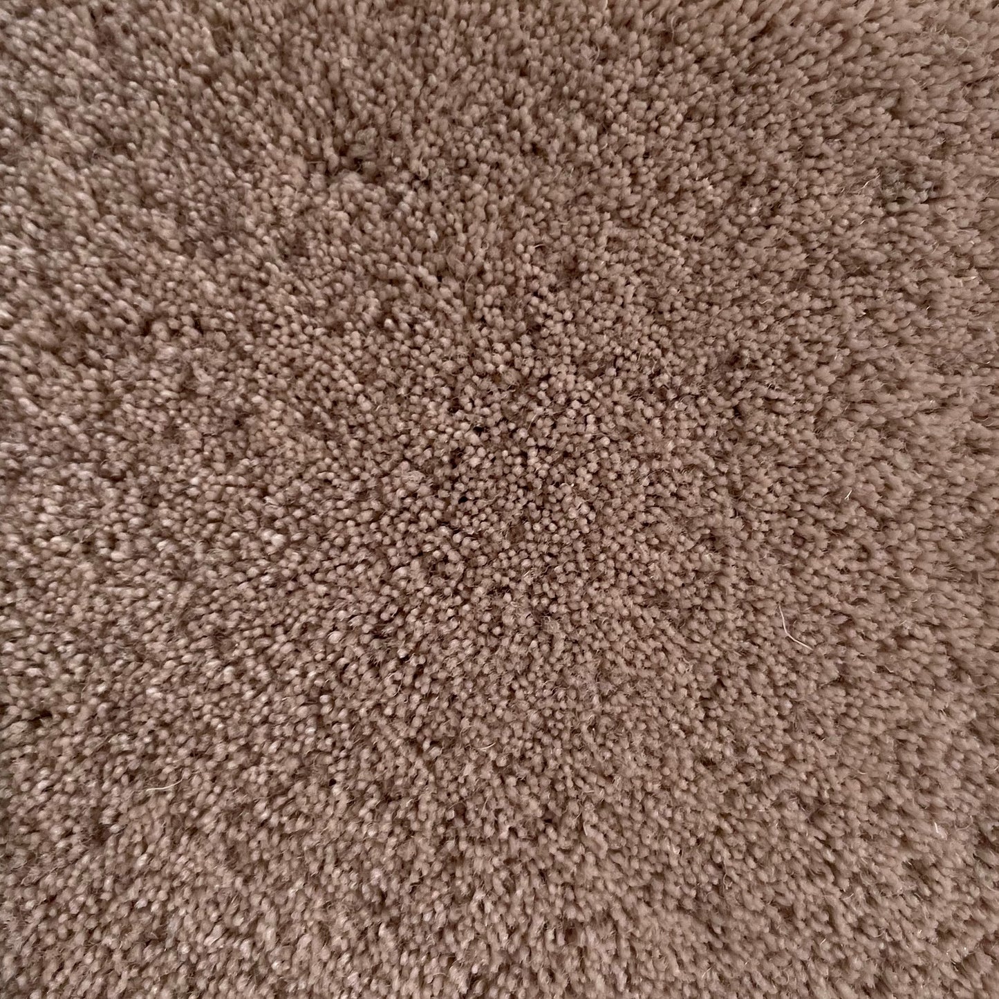 100% New Zealand Wool Rug Swatch in Soft Beige