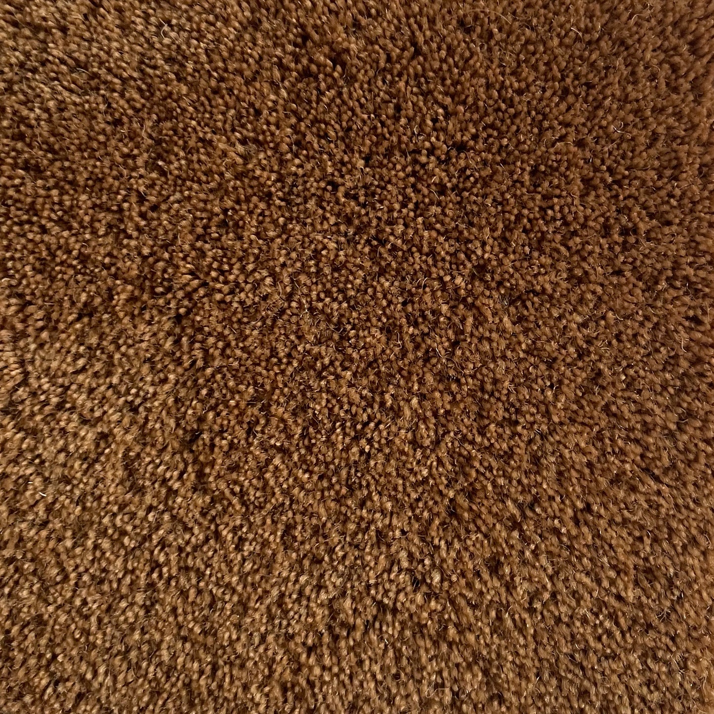 100% New Zealand Wool Rug Swatch in Honey