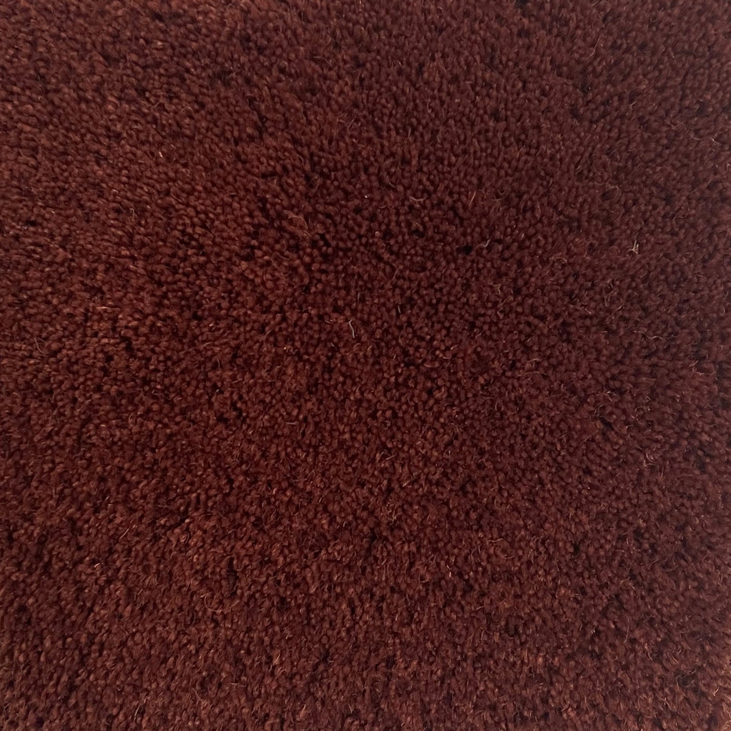 100% New Zealand Wool Rug Swatch in Rust