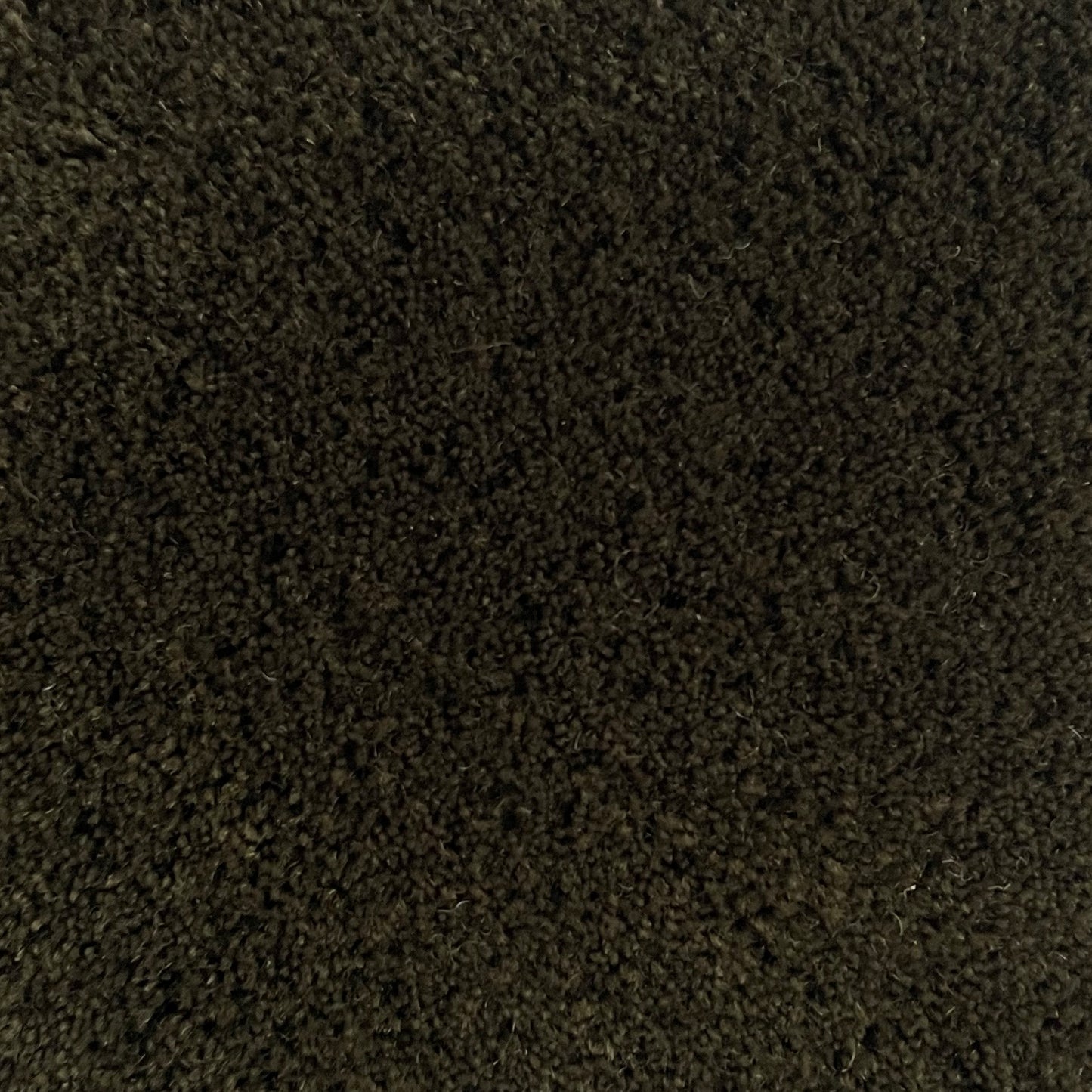100% New Zealand Wool Rug Swatch in Pesto