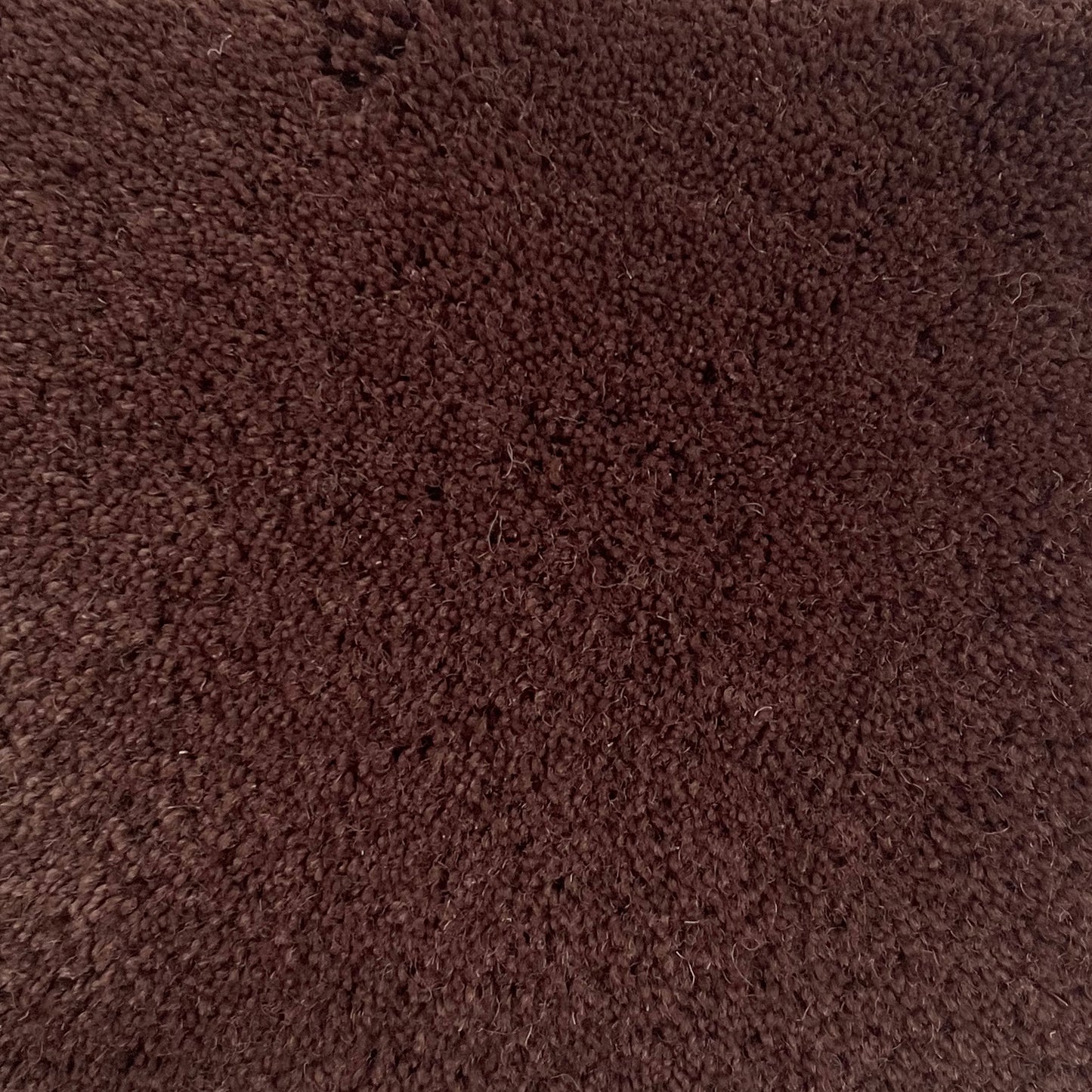 100% New Zealand Wool Rug Swatch in Taupe