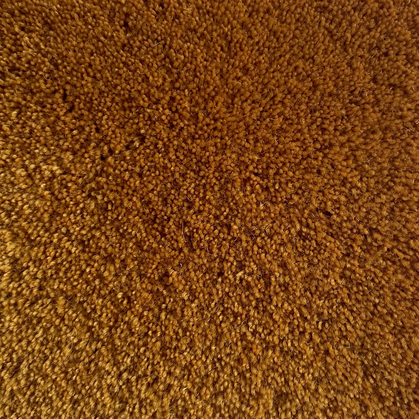 100% New Zealand Wool Rug Swatch in Dark Yellow