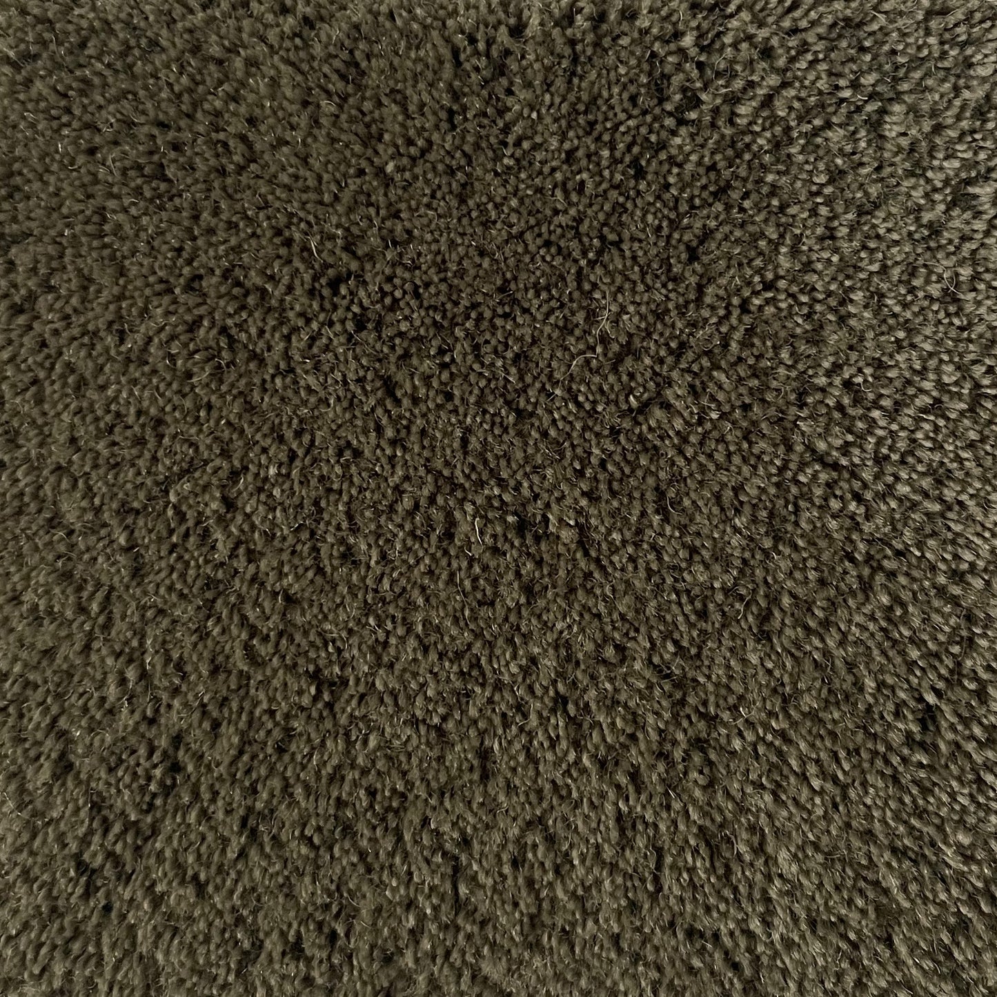 100% New Zealand Wool Rug Swatch in Aloe