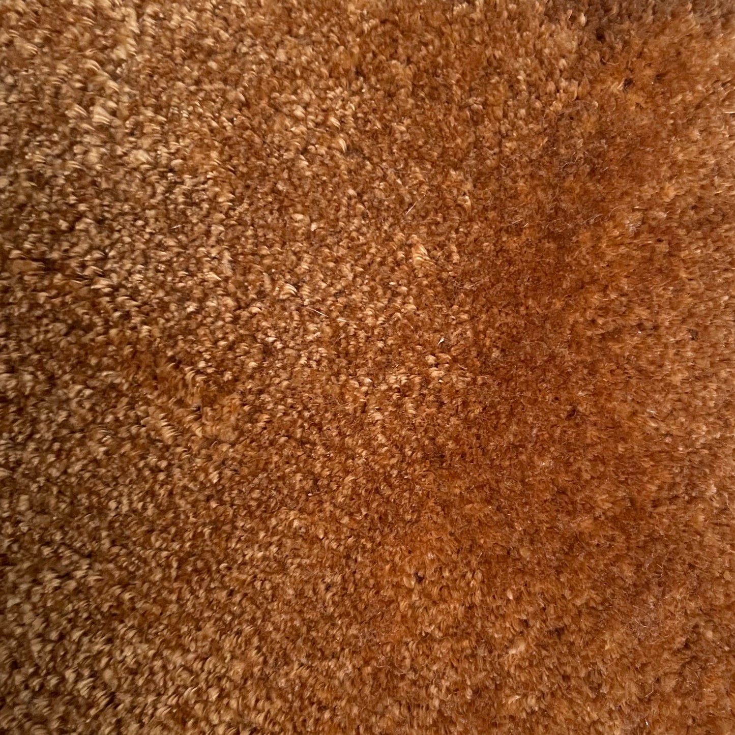 Tencel Rug Swatch In Lion