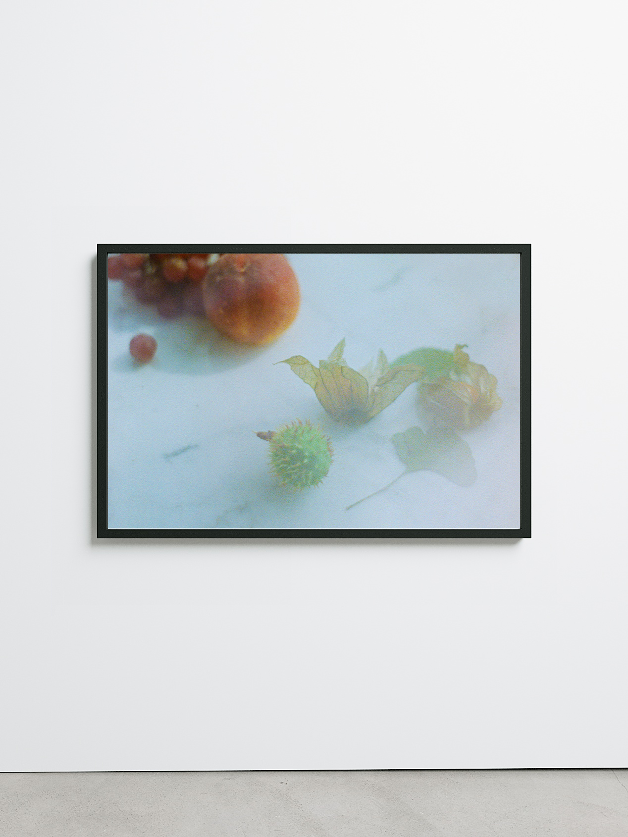 Berlin Still Life by Kin