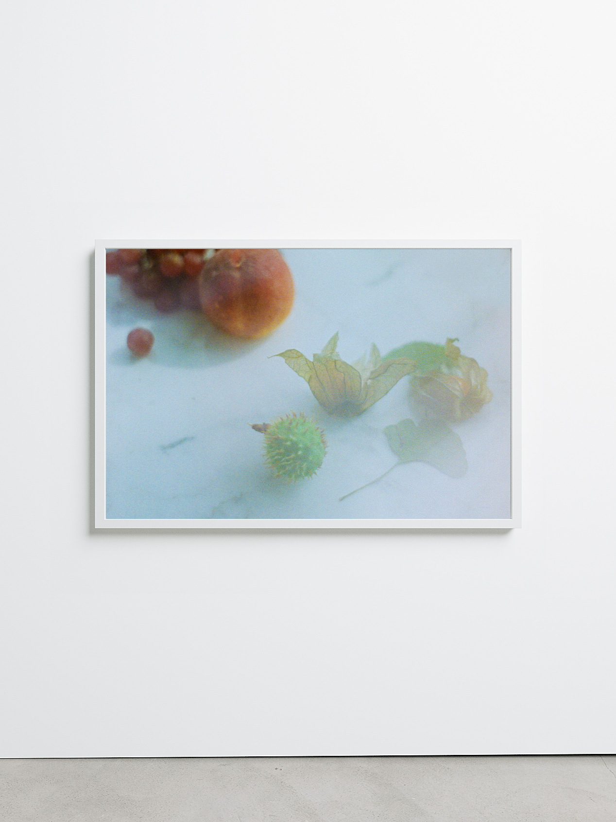 Berlin Still Life by Kin