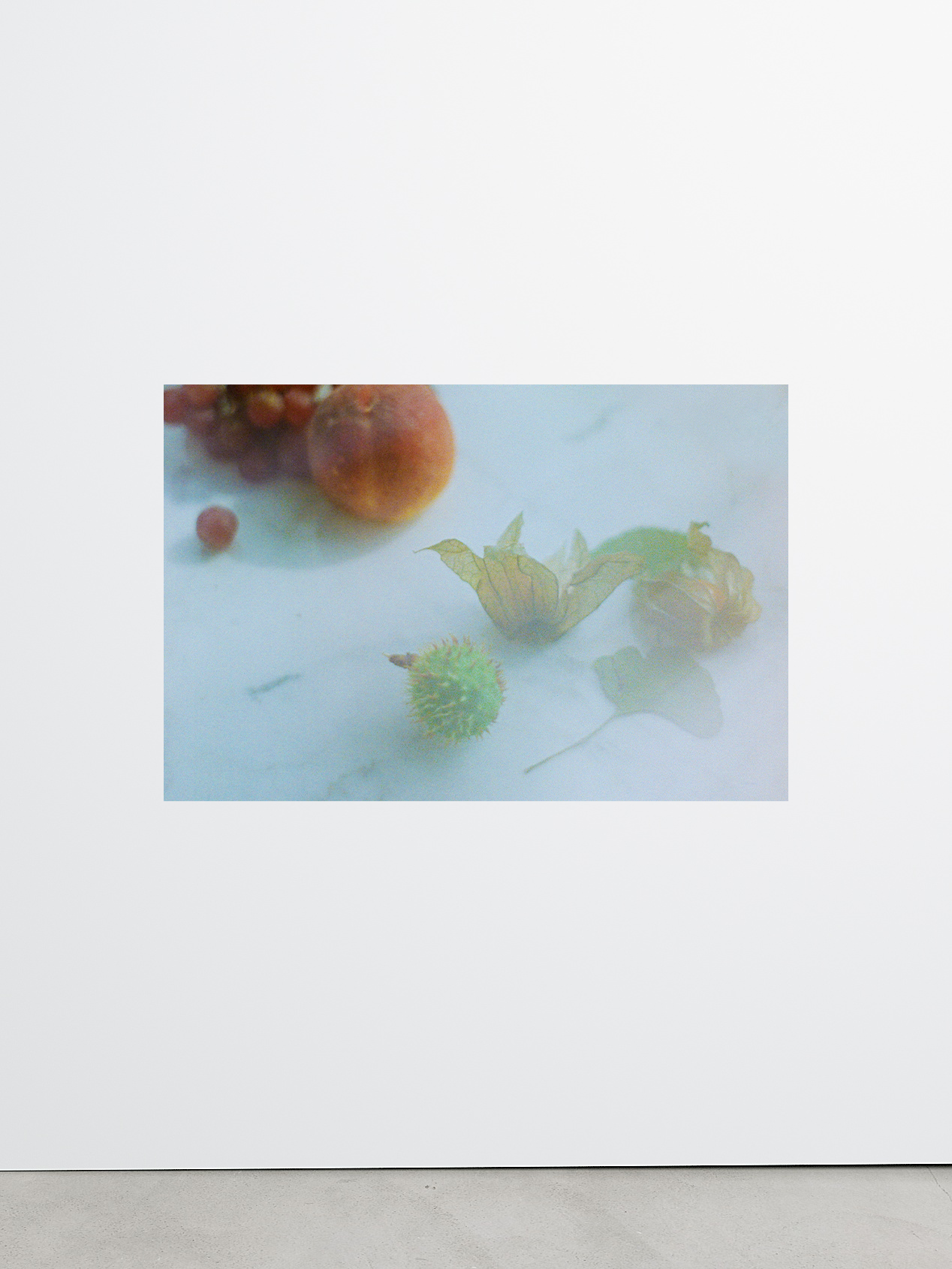 Berlin Still Life by Kin