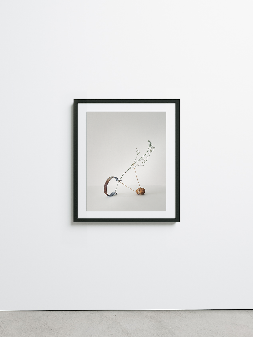 Isolation No.8 by Sharon Radisch