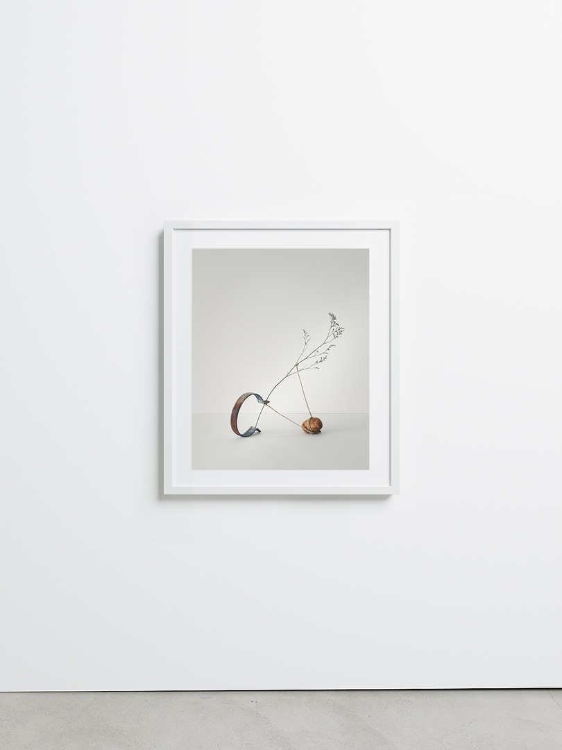 Isolation No.8 by Sharon Radisch