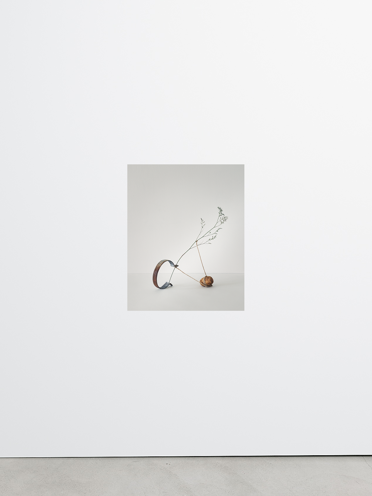 Isolation No.8 by Sharon Radisch