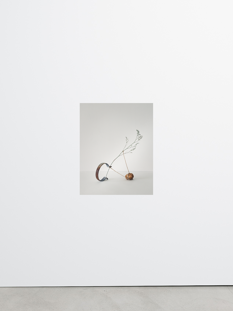 Isolation No.8 by Sharon Radisch