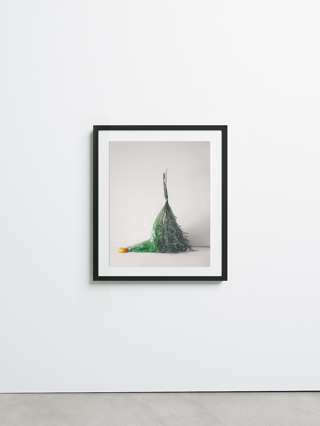 Isolation No.9 by Sharon Radisch