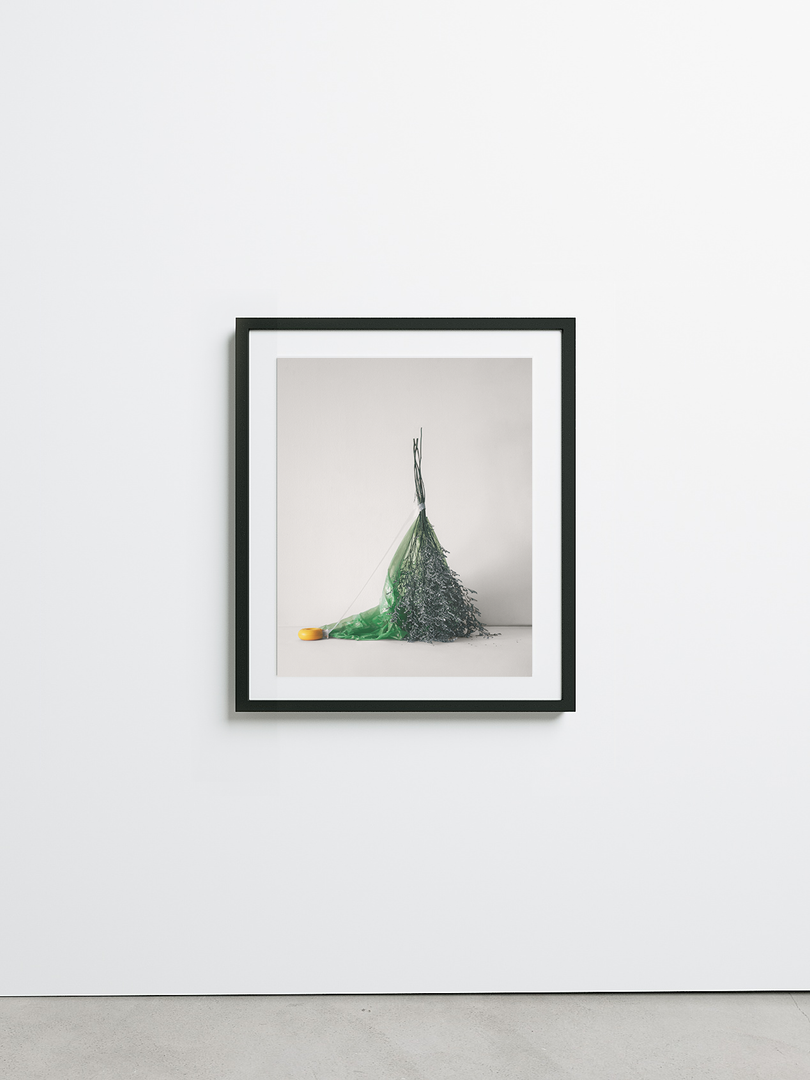 Isolation No.9 by Sharon Radisch