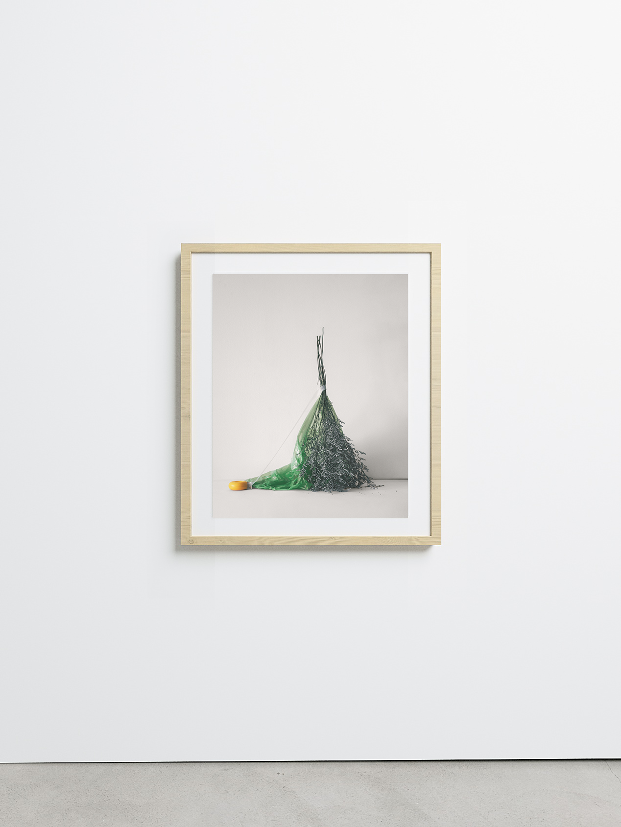 Isolation No.9 by Sharon Radisch