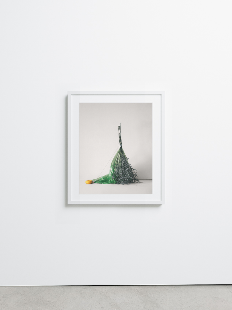 Isolation No.9 by Sharon Radisch