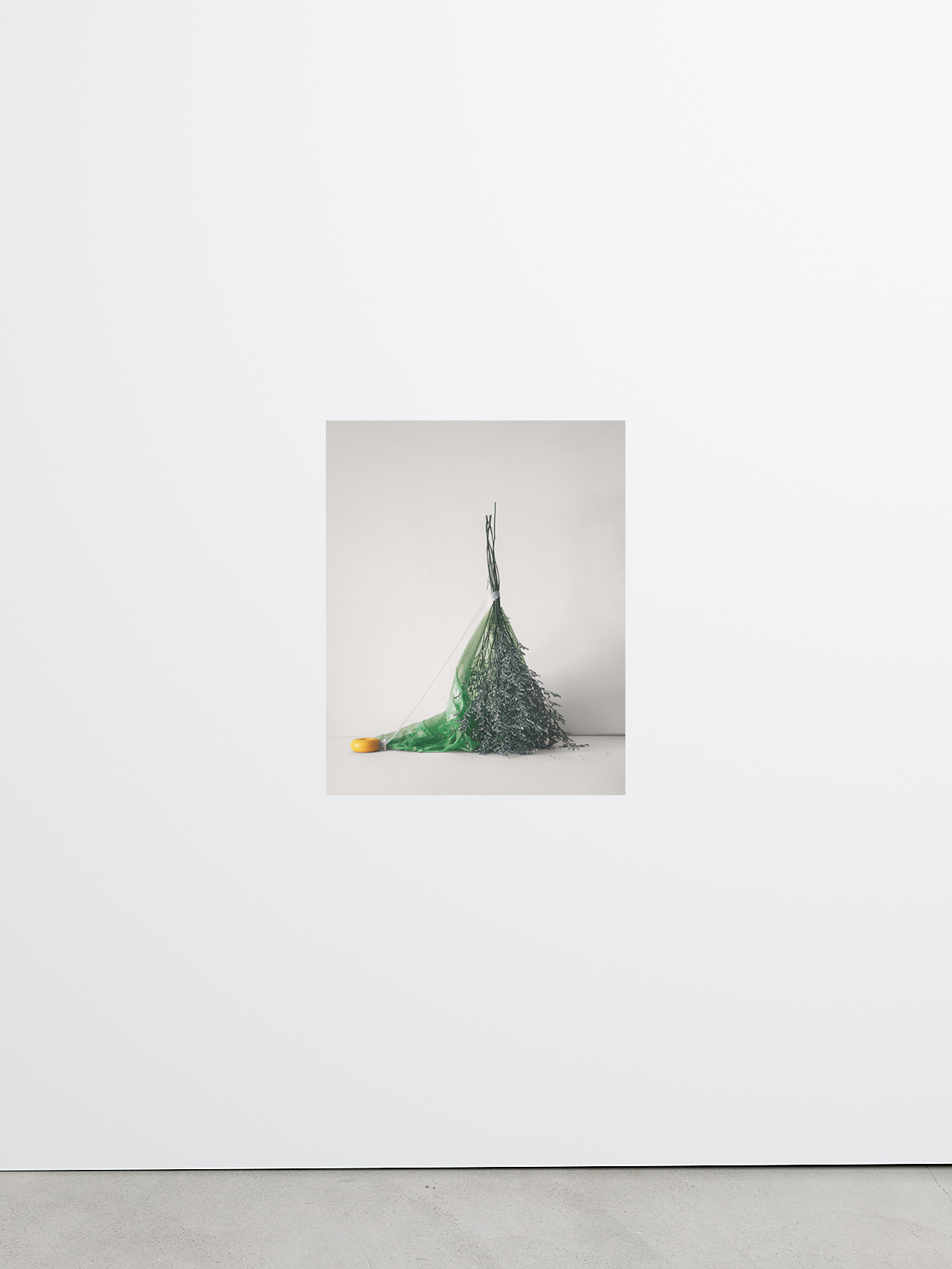 Isolation No.9 by Sharon Radisch