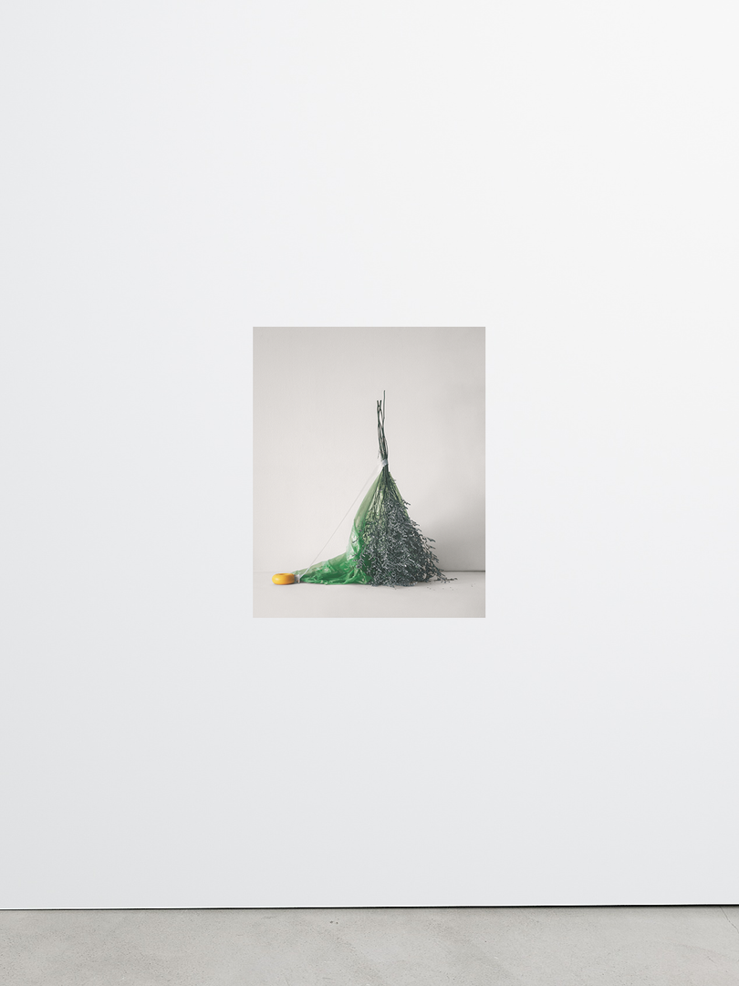 Isolation No.9 by Sharon Radisch